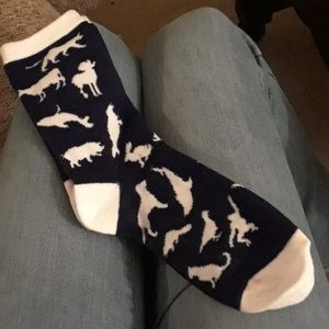 Creature socks